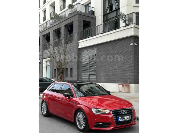 Orjinal S-Line Özel Sipariş