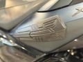 EGETUĞ 2021 XMax 250 TechMax Sırtlık & Koruma Aksesuarı 28.500Km