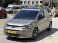 AUTO HUNTER-HATASIZ BOYASIZ-CAM TAVAN LANSMAN RENK