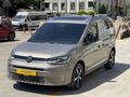 AUTO HUNTER-HATASIZ BOYASIZ-CAM TAVAN LANSMAN RENK