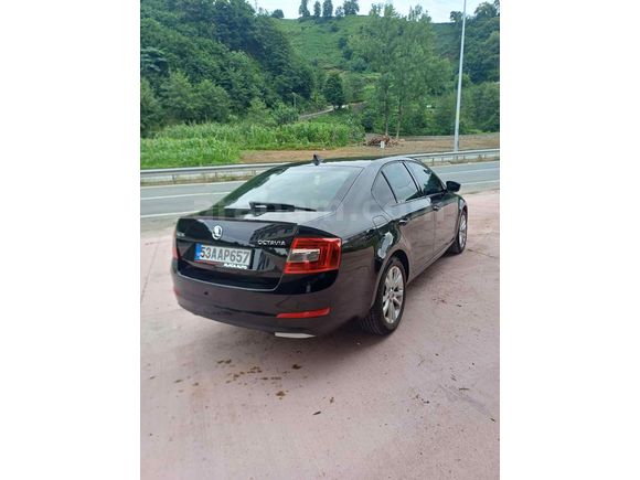  Skoda Octavia 1.6 TDI 2013 Model 