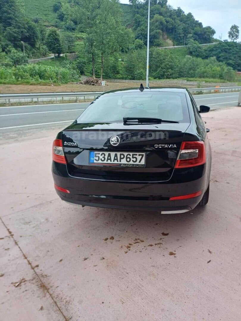 Galeriden Skoda Octavia 1.6 TDI Elegance 2013 Model Rize 275.000 km Siyah 6