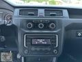 2020 MODEL 190 BİNDE HATASIZ BOYASIZ PANELVAN MAXİ CADDY