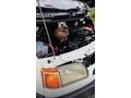 1999 HATASIZ T12
