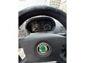 2003 Fabia/ 253.000Km/ LPG/ Aile arabası