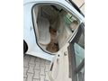 MERCEDES-BENZ E 180 ELİTE