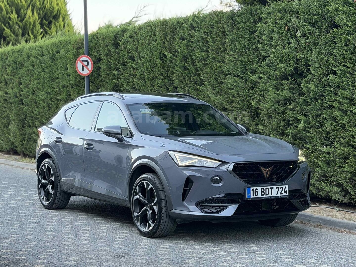 Sahibinden Cupra Formentor 1.5 TSI 2023 Model Bursa 71.500 km Gri 6
