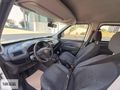 TANER,DEN DOBLO MAXİ 1.3 MULTİJET CLİMALI,,MUAYENE SIFIR