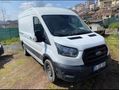 MAVİYEŞİL GROUP'DAN-2023-FORD-TRANSİT-350L-PANELVAN