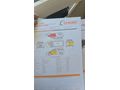 FİDANCI OTOMOTİVDEN PEJO PARTNER TEPE
