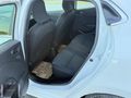 **RENAULT CLIO 1.0 TCE TOUCH X-TRONIC 2020 100 HP**