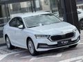 Auto Velux 2023 Boyasız Skoda Octavia 1.5 e-Tec Dsg Premium
