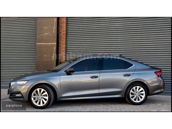 carplaza - 2024 BOYASIZ OCTAVIA 1.5 e-tec PREMIUM SERVİS BAKIMLI