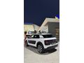 Sahibinden Citroen C4 Cactus 1.2 PureTech Feel 2015 Model 