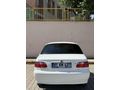 SENE AUTO'DAN PREMİO PLUS