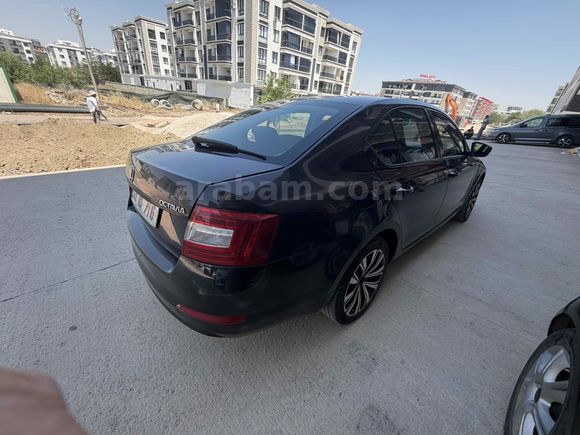 Sahibinden Skoda Octavia 1.6 Ambiente Optimal 2015 Model 