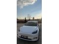 Sahibinden Tesla Model Y Standart (Juniper) 2024 Model Sakarya