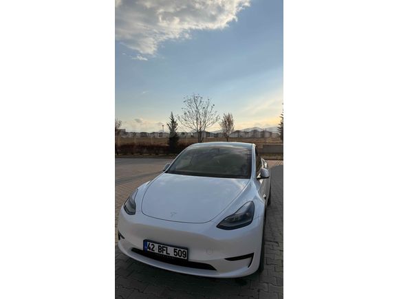 Sahibinden Tesla Model Y Standart (Juniper) 2024 Model Sakarya