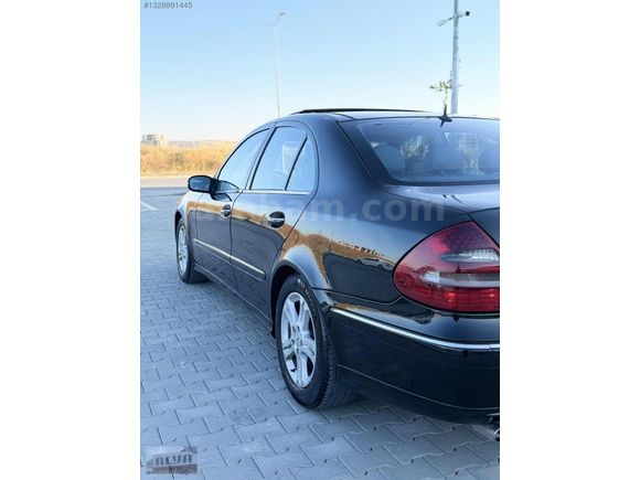 BÜTÜN BAKIMLARI YENİ MASRAFSIZ AVANGARDE