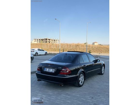 BÜTÜN BAKIMLARI YENİ MASRAFSIZ AVANGARDE