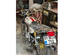 Sahibinden Kuba Çita 50R Gold