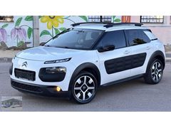 ZİRVEDEN HATASIZ C4 CACTUS SHİNE
