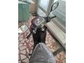 SAHIBINDEN 50CC SCOOTER SIFIR AYARINDA