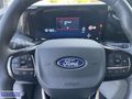 CUSTOM 2.0 EcoBlue 320L Titanium PLUS CAM TVN+DERİ KLT+OTO KAPI