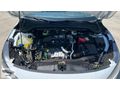 2025 Focus 1.5 EcoBlue Titanium Stil.hatasız.(12,500kmde)