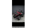 Sahibinden Regal Raptor M210