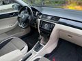 2015 MODEL İLK SAHİBİNDEN HATASIZ RAPİD CAM TAVAN ,İÇİ BEJ