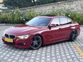 F 30 LASMAN RENK