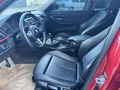 F 30 LASMAN RENK