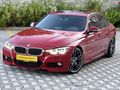 F 30 LASMAN RENK