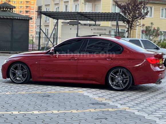 F 30 LASMAN RENK