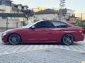F 30 LASMAN RENK
