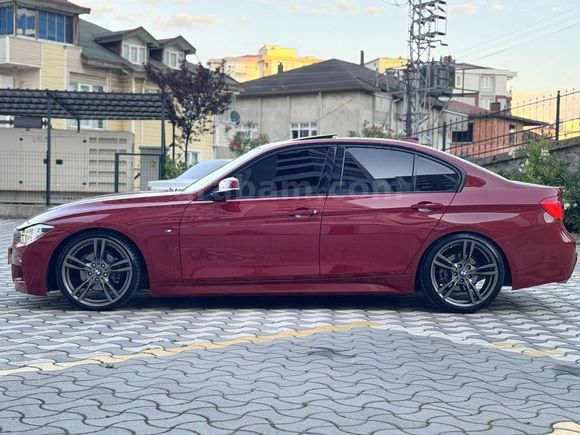 F 30 LASMAN RENK