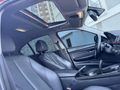 F 30 LASMAN RENK