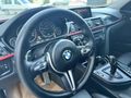 F 30 LASMAN RENK