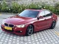 F 30 LASMAN RENK