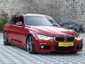 F 30 LASMAN RENK