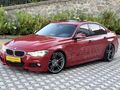 F 30 LASMAN RENK