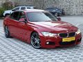 F 30 LASMAN RENK
