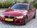 F 30 LASMAN RENK