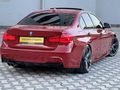 F 30 LASMAN RENK