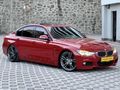 F 30 LASMAN RENK