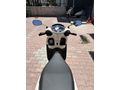 Sahibinden TVS Jupiter 125 