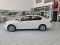 SKODA OCTAVYA MANUEL 2 PARÇA BOYA LI