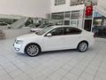 SKODA OCTAVYA MANUEL 2 PARÇA BOYA LI