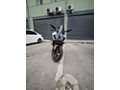 Sahibinden CFmoto 250SR 